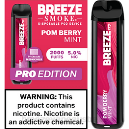 Breeze Pro 2000 Puffs - Breeze vape 6000 puffs Pom Berry Mint FRP2L17