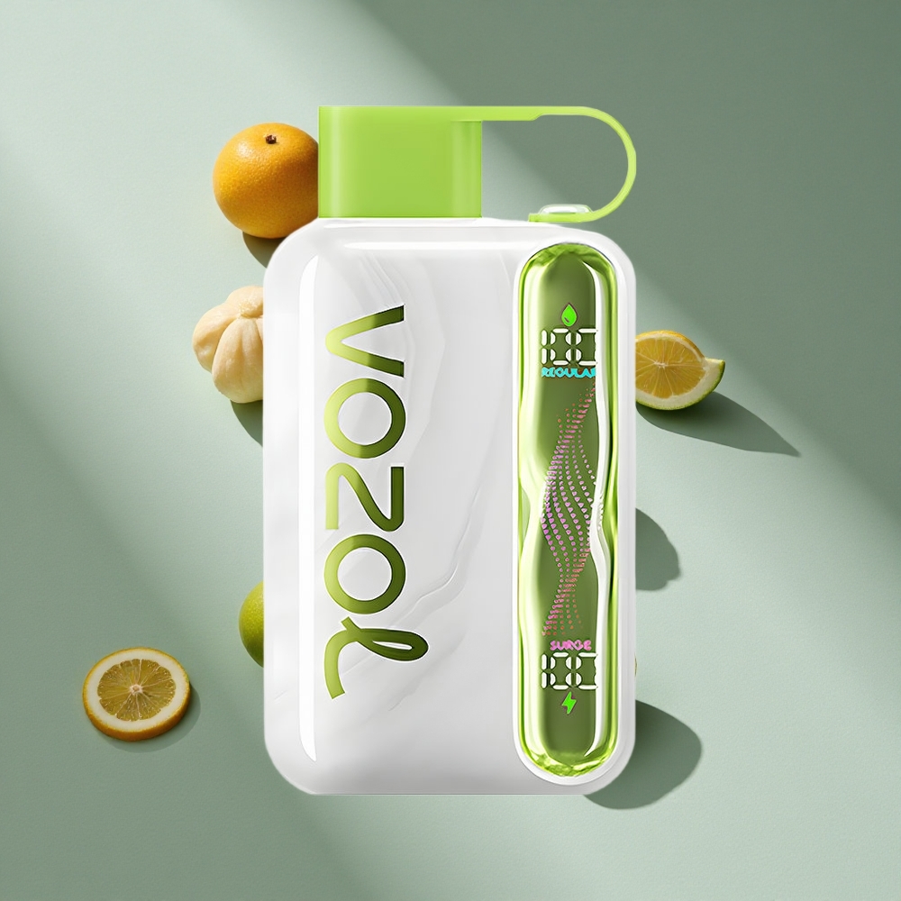 VOZOL STAR 40000 Puffs Disposable Vape Cool Mint 1000mAh Type-C Australia wholesale