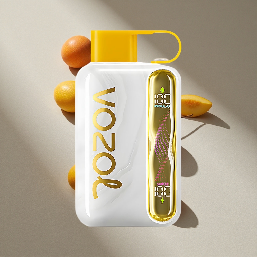 VOZOL STAR 40000 Puffs Disposable Vape Mango Ice 1000mAh Type-C Australia wholesale
