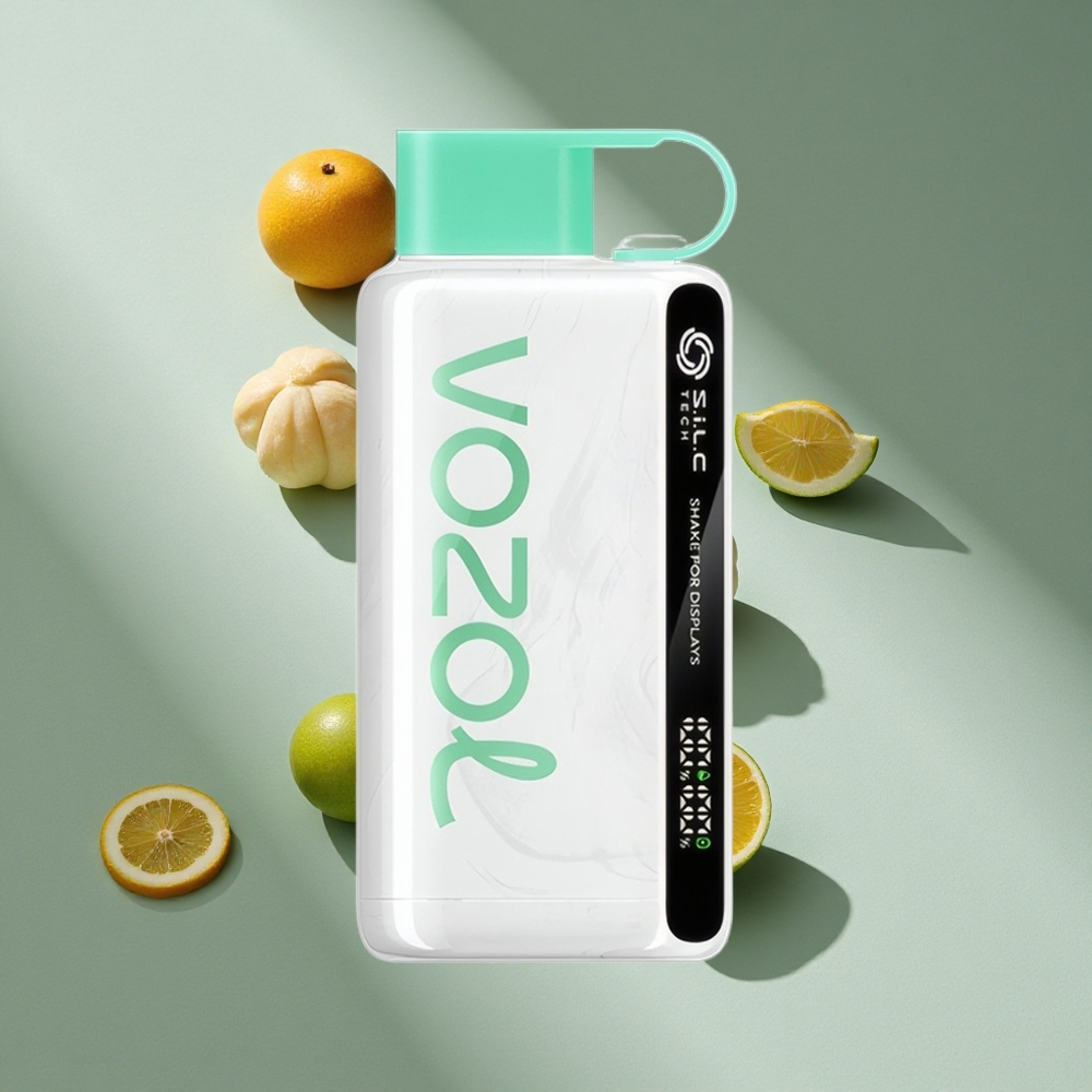 VOZOL STAR 9000/12000 Disposable Vape Cool Mint 650mAh 30% Faster Charge Australia Wholesale